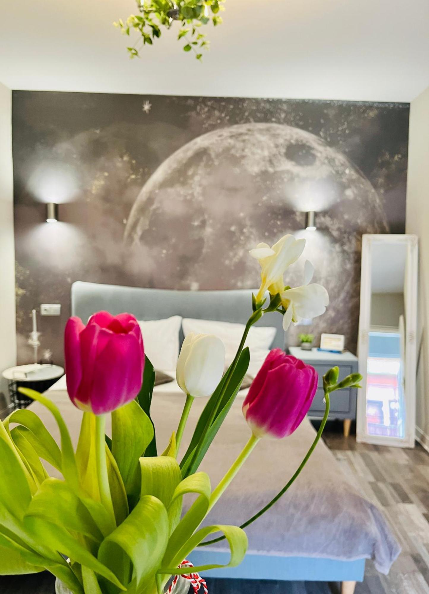 Moon And Sun Apartments ซีบิว ภายนอก รูปภาพ